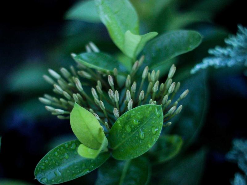 围炉煮茶<br>gitbuvf.cn 中式松弛感